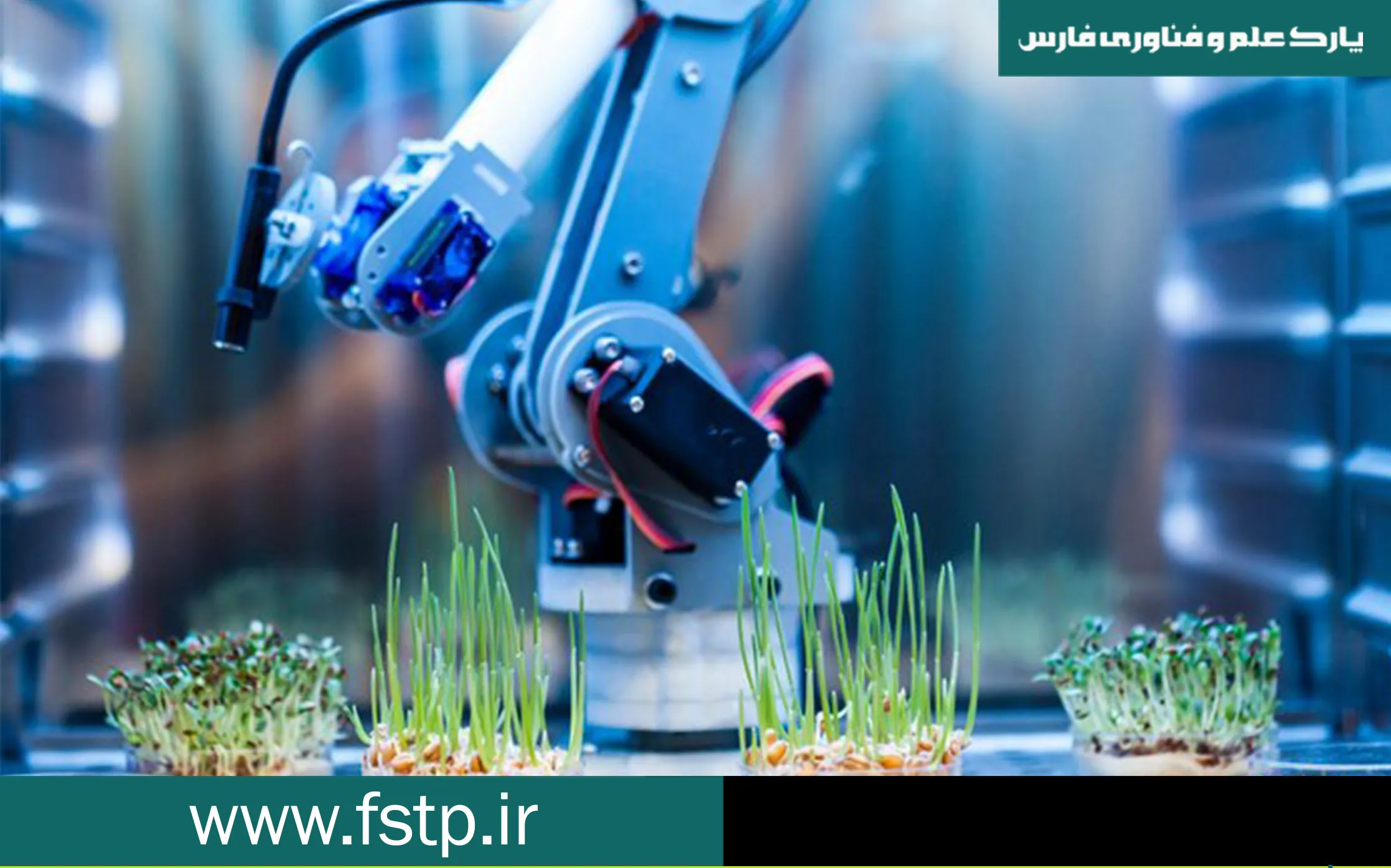 کشت بافت دانش بنیان فارسی؛ نسخه حیات کشاورزی در سال‌های خشکسالی